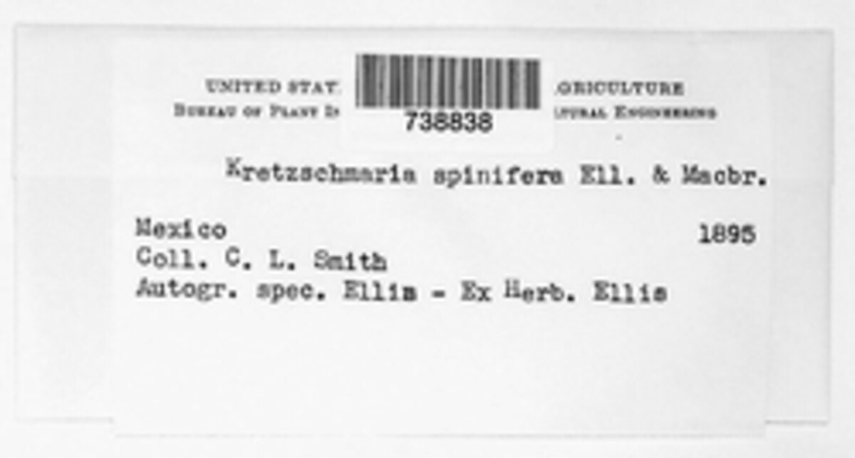 Kretzschmaria micropus image